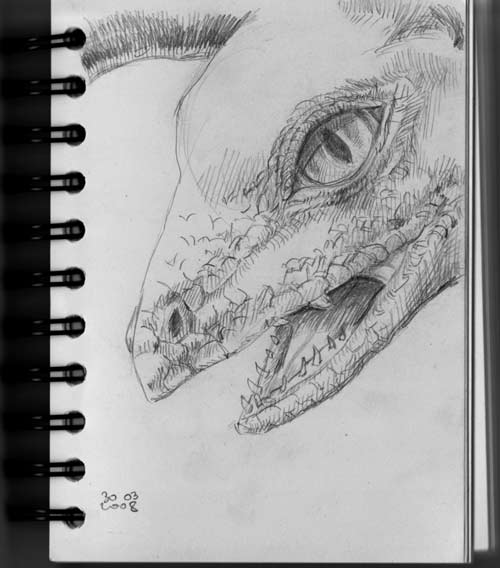 croquis tête de dinosaure